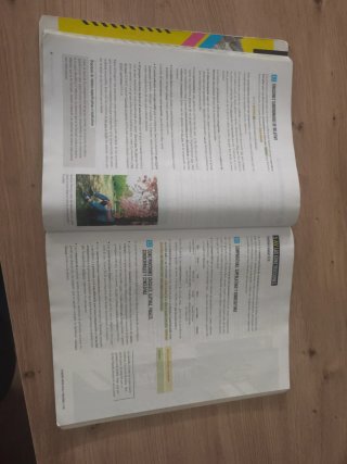 Lengua castellana y literatura 4 Secundaria