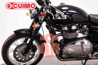 TRIUMPH THRUXTON 900