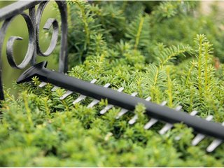Cortasetos inalámbrico Bosch UniversalHedgeCut 18V