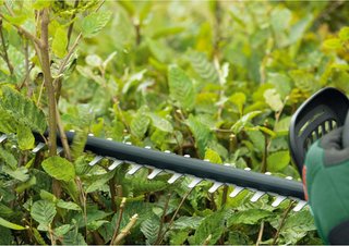 Cortasetos inalámbrico Bosch UniversalHedgeCut 18V
