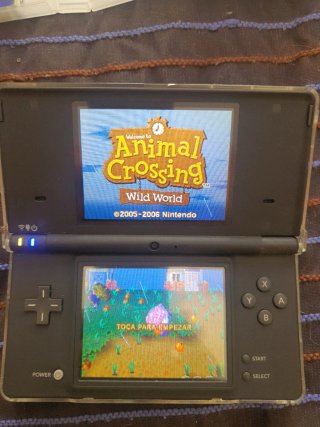 Pacchetto 4 Giochi Nintendo DS: Animal Crossing, Crash, LEGO Indiana Jones, Tony Hawk's