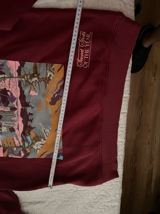 Sudadera Bershka Roja con Diseño