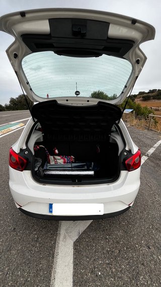 SEAT Ibiza 2014