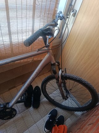 Bicicleta de Montaña