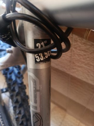 Bicicleta de Montaña