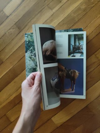 Libros de China en inglés y español