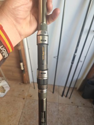 Cañas Vercelli Spyra Augusta