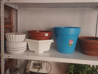 Lote Macetas Plástico y Terracota