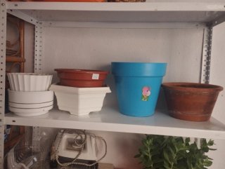 Lote Macetas Plástico y Terracota