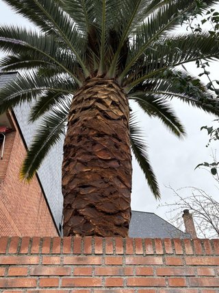 MANTENIMIENTO DE JARDINES Y COMUNIDADES