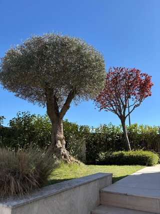 MANTENIMIENTO DE JARDINES Y COMUNIDADES