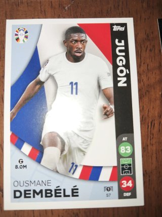 Cromos Eurocopa 2024 Lidl