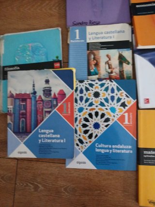 Libros de primero de bachiller sm economía