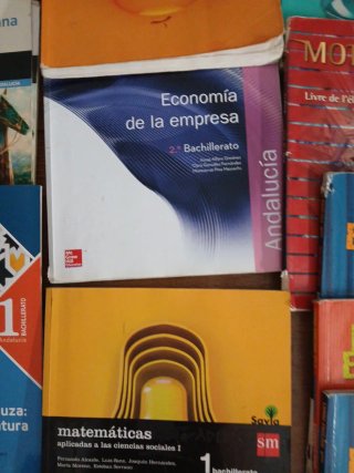 Libros de primero de bachiller sm economía