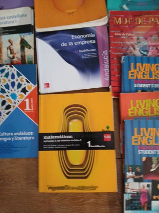 Libros de primero de bachiller sm economía