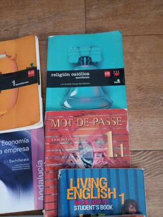 Libros de primero de bachiller sm economía