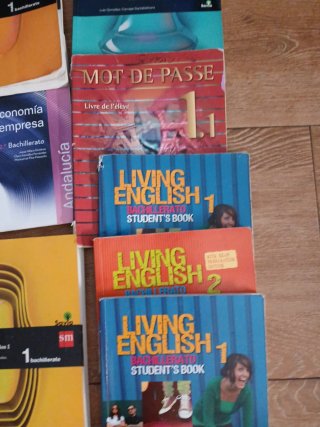 Libros de primero de bachiller sm economía
