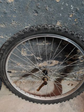 Rueda Bicicleta 24