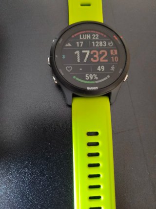 Garmin Forerunner 255 GPS  Running -Trail