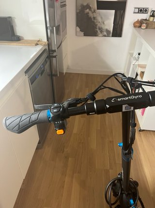 Patinete Eléctrico SmartGyro Rockway