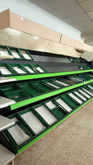 ESTANTERÍA FRUTAS Y VERDURAS