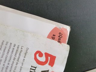 Matemáticas 5 Primaria