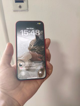 iPhone 13 256GB Rojo