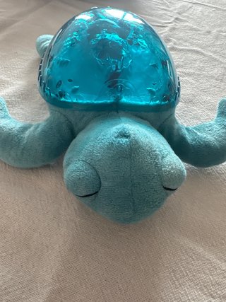 Tortuga Proyector Azul Cloud b