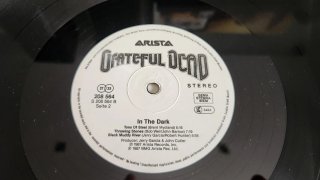 Grateful Dead - In the Dark Vinilo