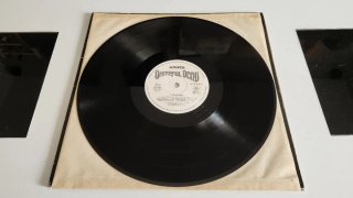 Grateful Dead - In the Dark Vinilo