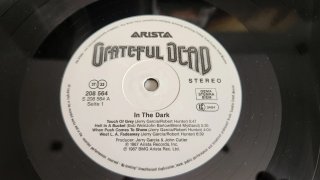 Grateful Dead - In the Dark Vinilo