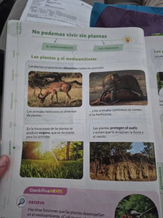 Ciencias naturaleza 4 primaria