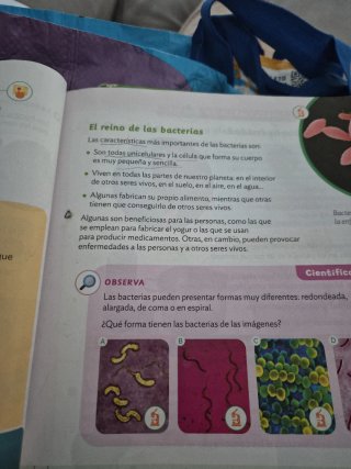 Ciencias naturaleza 4 primaria