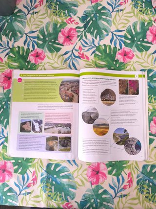 BIOLOGIA Y GEOLOGIA MADRID 3 ESO CONSTRUYENDO M...