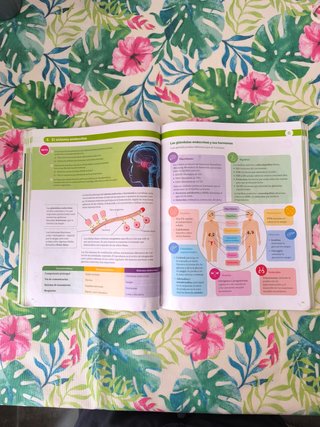 BIOLOGIA Y GEOLOGIA MADRID 3 ESO CONSTRUYENDO M...