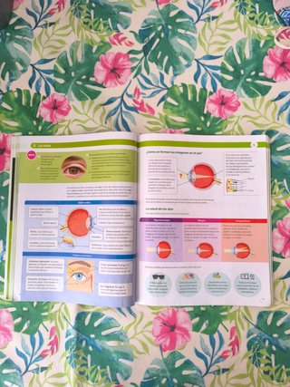 BIOLOGIA Y GEOLOGIA MADRID 3 ESO CONSTRUYENDO M...