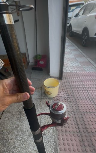 Carrete Mitchell 8000 y caña telescópica (5metros)