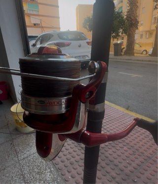 Carrete Mitchell 8000 y caña telescópica (5metros)