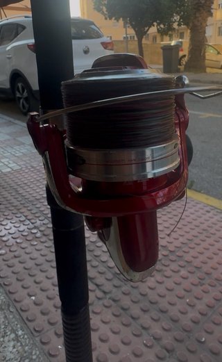 Carrete Mitchell 8000 y caña telescópica (5metros)