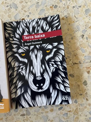 Pack dd libros de ingles.