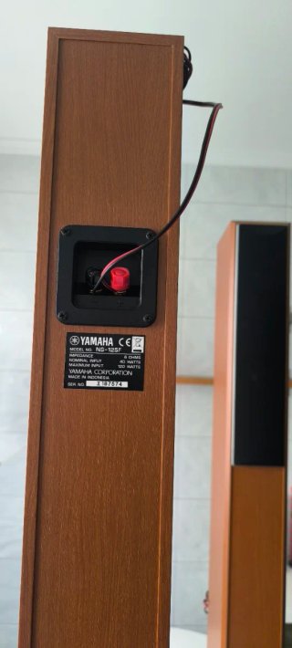 Receptor AV Yamaha RX-V557 Home Cinema y Altavoces