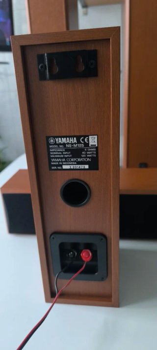 Receptor AV Yamaha RX-V557 Home Cinema y Altavoces