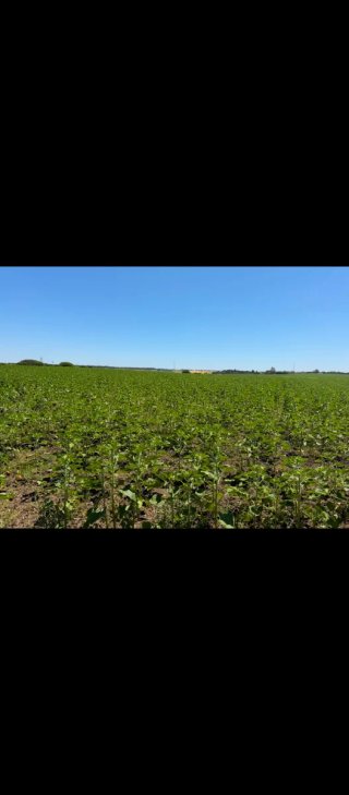 Venta de parcelas en hozanejos luz y agua