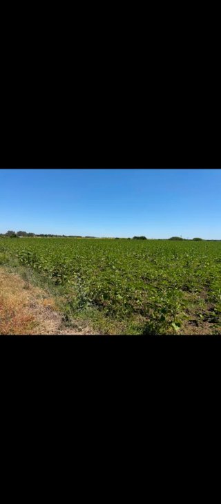 Venta de parcelas en hozanejos luz y agua
