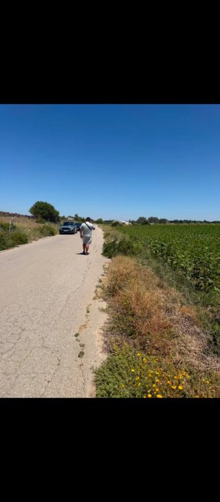 Venta de parcelas en hozanejos luz y agua
