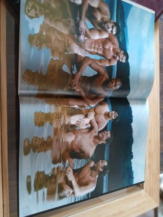 Desnudo