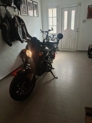 Harley-Davidson Street 750cc 2019