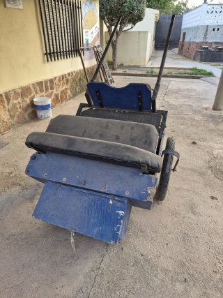 Carro para pony