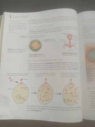 Biología y Geología : 1o ESO