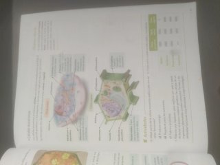 Biología y Geología : 1o ESO